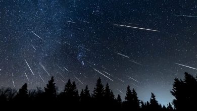 Perseid meteor yağmuru ne vakit? Türkiye'den görülecek mi, hangi kentlerden izlenir? 8 perseid meteor yagmuru ne vakit turkiyeden gorulecek mi hangi kentlerden izlenir r1pxmv3G
