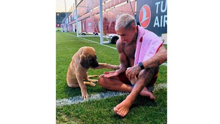 Torreira'dan İhtilal Özkan'a 'köpekli' gönderme! 2 torreiradan ihtilal ozkana kopekli gonderme 0 6XTCztt9