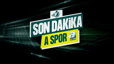 fenerbahce tarfin fiba bayanlar harika kupasinin sahibi oldu eZ8YQWj9