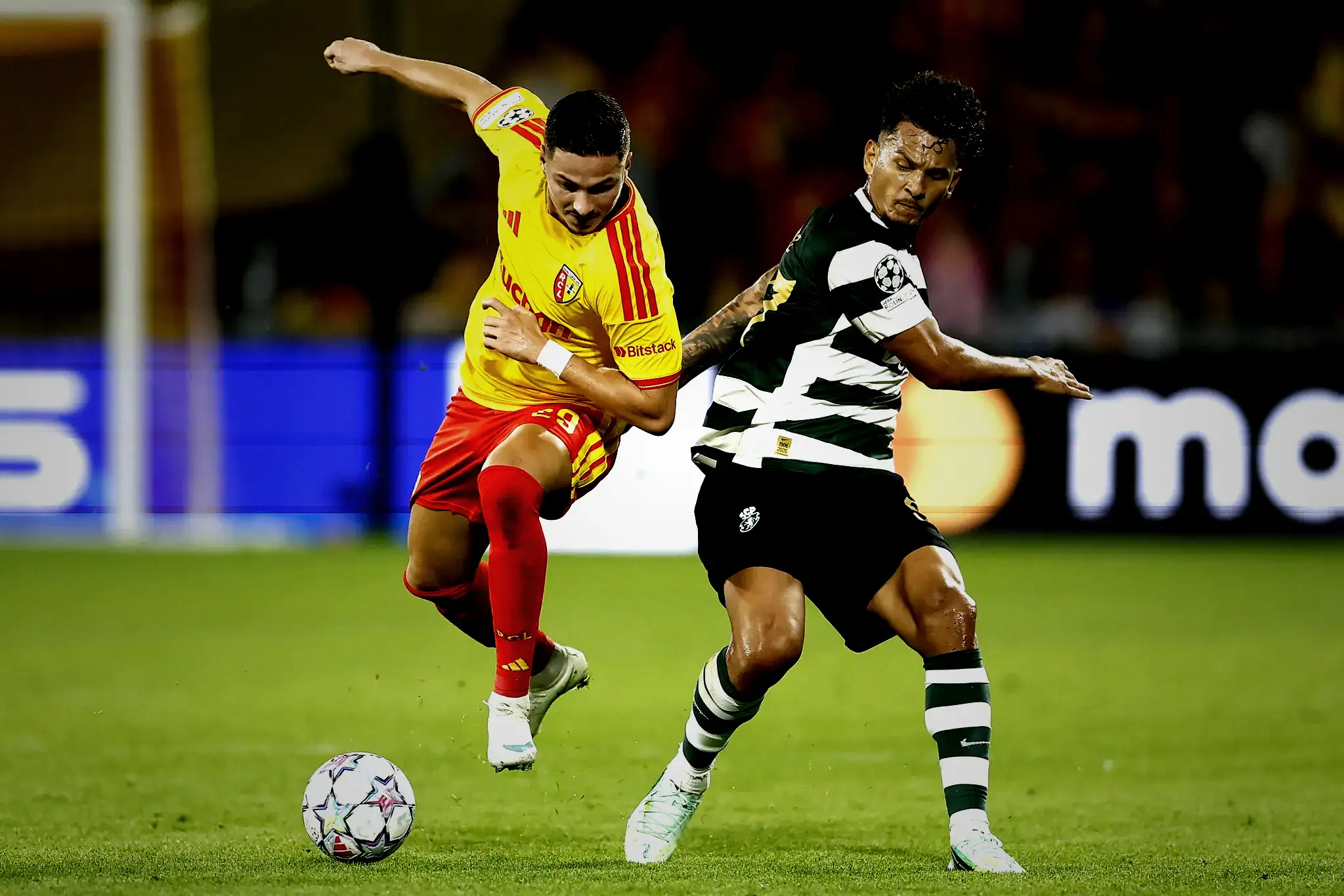 fenerbahce yildiz golcu icin tekrar devrede secim donemi transfer vaadiydi 9 fq3z9A62