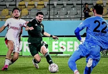 gumrukte dayanikli sesleri inifwPrn