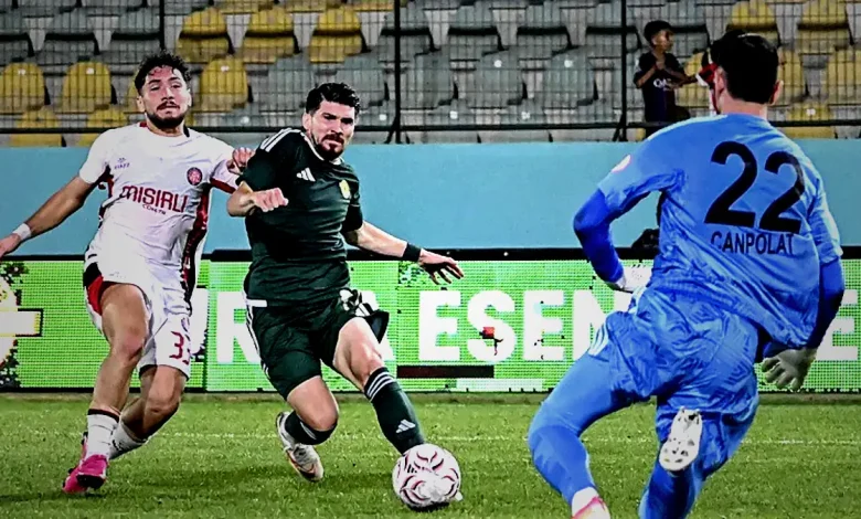gumrukte dayanikli sesleri inifwPrn